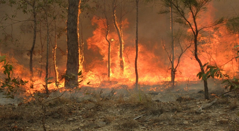 Bush fire at Captain Creek central Queensland Australia credit 80 trading 24 wikimedia